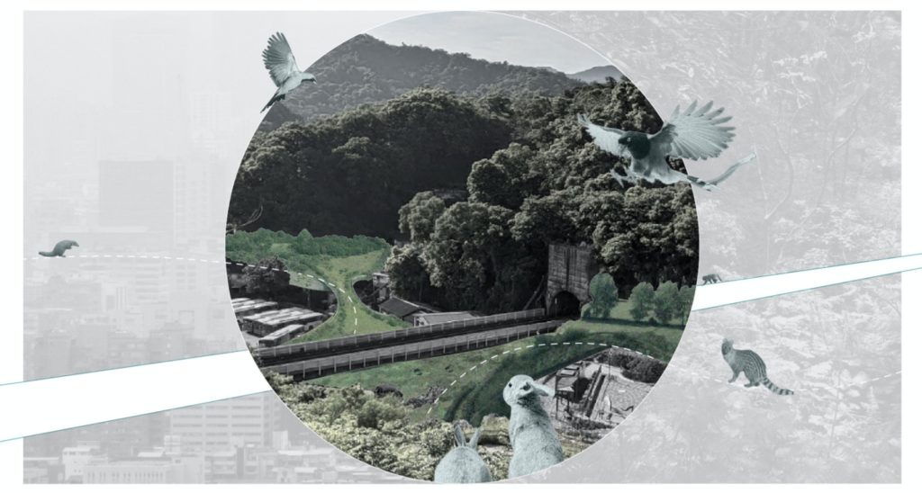 Illustrasjon Dyrevennlig by av Chen Li-Cheng ved Bergen Arkitekthøgskole