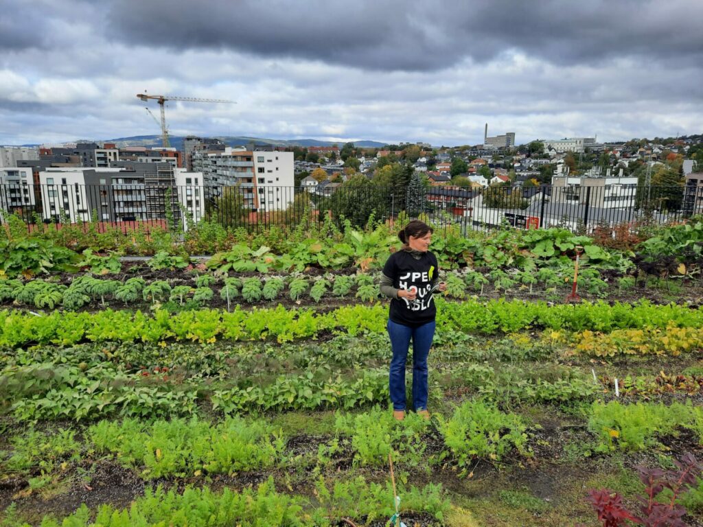 Økern Portal rooftop is Breeam Excellent certified
