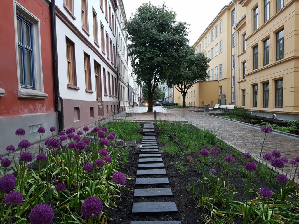 Deichmansgate i Oslo med regnbed for klimatilpasning med overvann og tørke