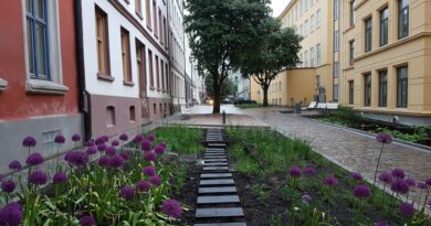 Deichmansgate in Oslo rainbed for heat and stormwater