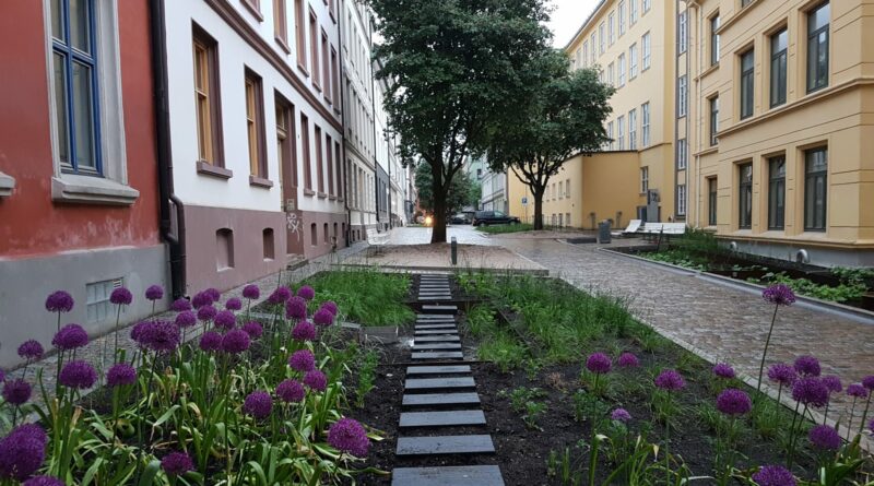 Deichmansgate i Oslo med regnbed for klimatilpasning med overvann og tørke