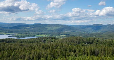 Aerial view of a dense green forest with a lake and rolling hills in the distance under a blue sky with scattered clouds
