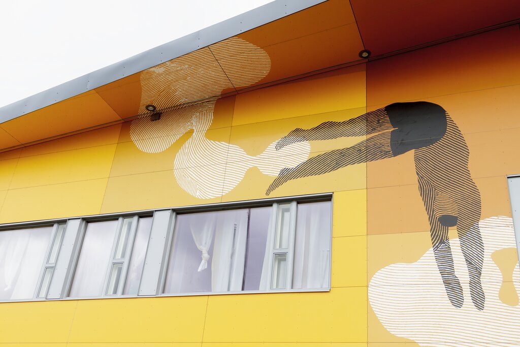 Steni fasadeplate med grafisk trykk